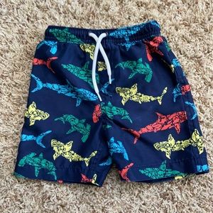 Lands End Boys Swim Trunks